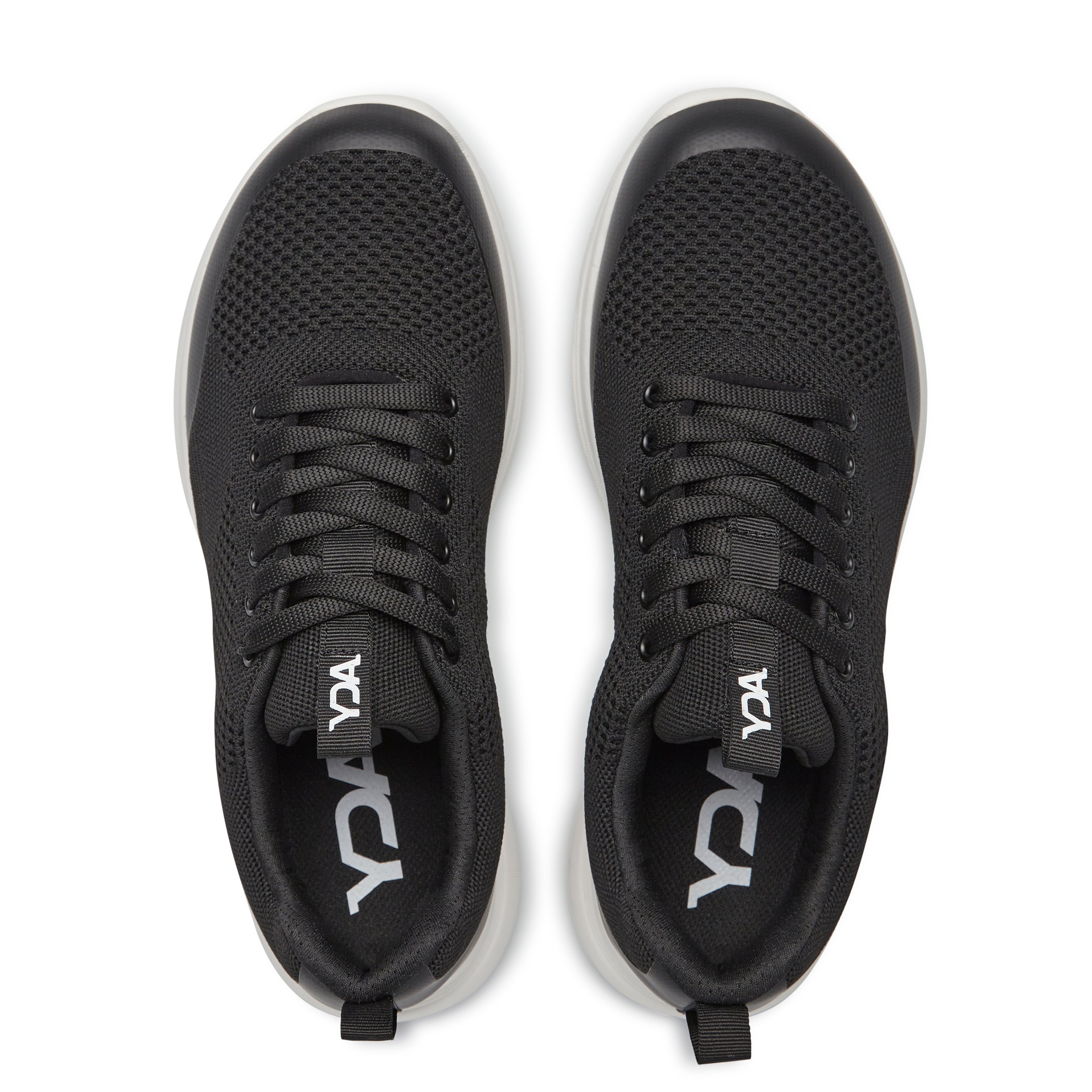 C1Y-Cody 41